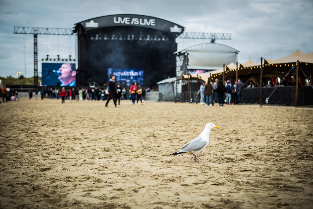 © CPU - Bert Savels